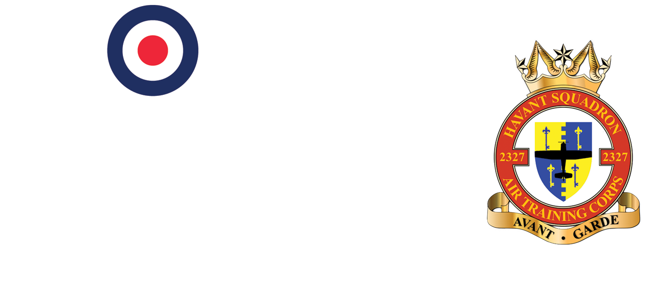 RAFAC Logo and Sqn Crest